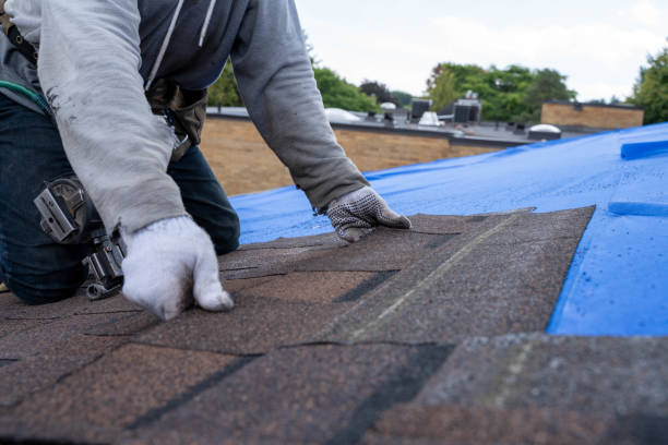 Best Green or Eco-Friendly Roofing Solutions  in Preston Heights, IL